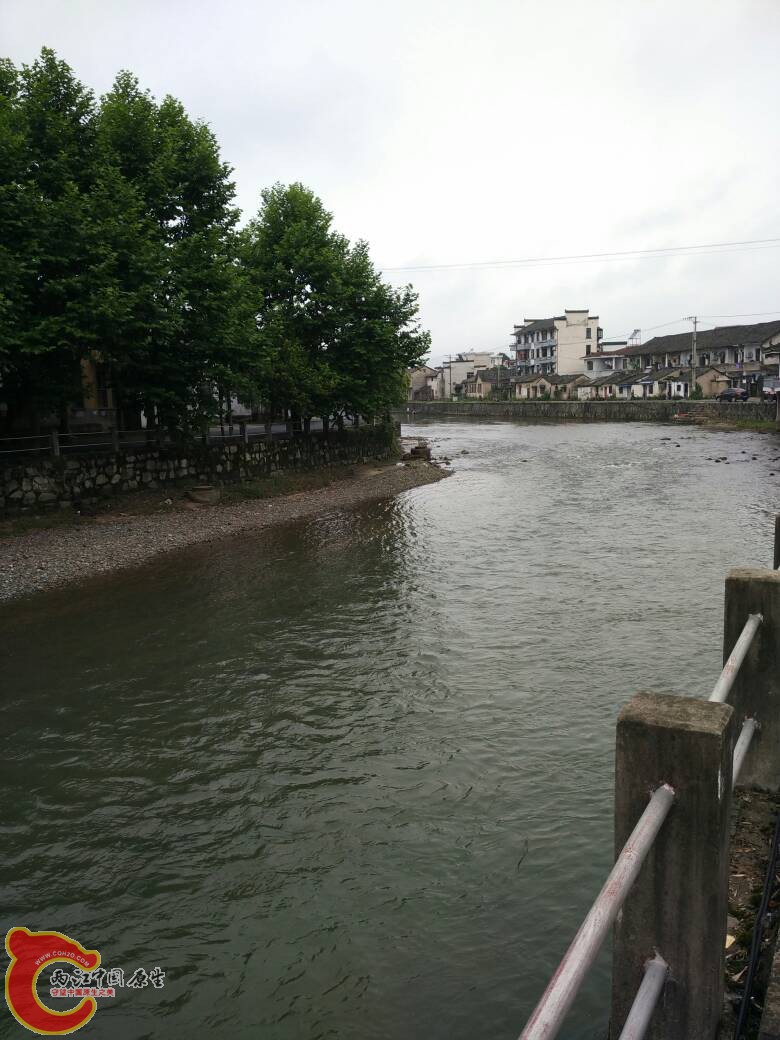 183909nm1km3j5kcu31g9s.jpg