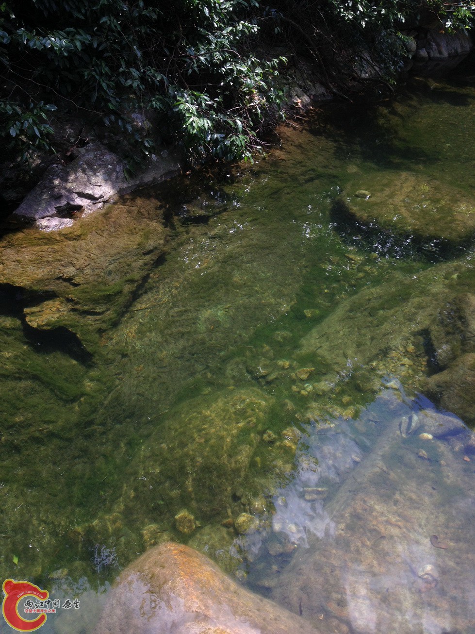 IMG_1123.JPG