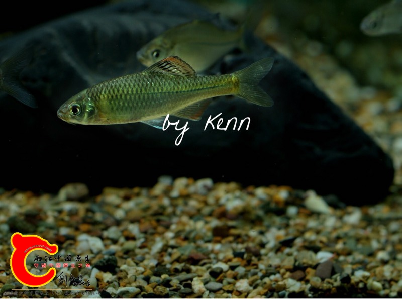 091434qeffjwwf3npj1ft8.jpg