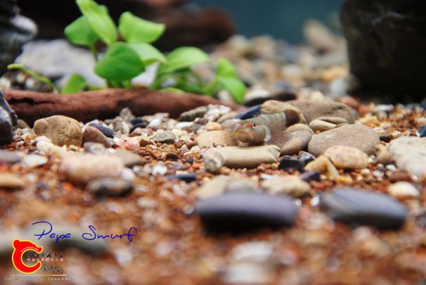 DSC_2321_副本.jpg
