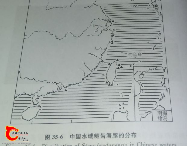 IMAG0034.jpg