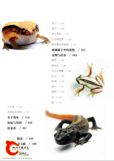 我的两栖动物朋友-目录2.jpg