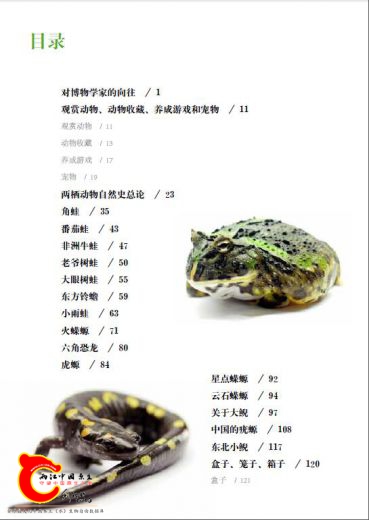 我的两栖动物朋友-目录1.jpg