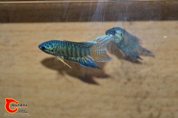 DSC_0373.JPG