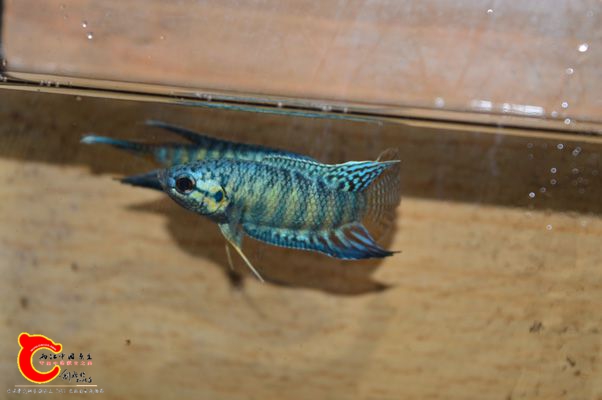 DSC_0376.JPG