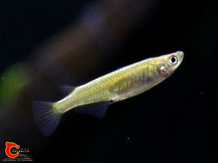 2016-07-10 10_17_12.JPG