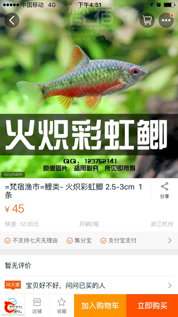 165219ki6wghkfbe9666w4.jpg