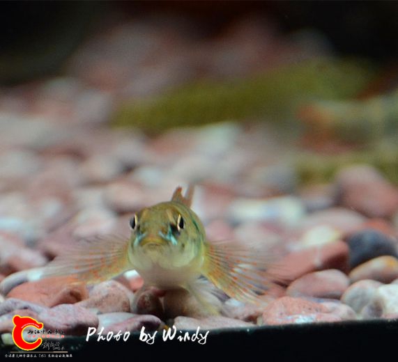 DSC_4753_副本.jpg