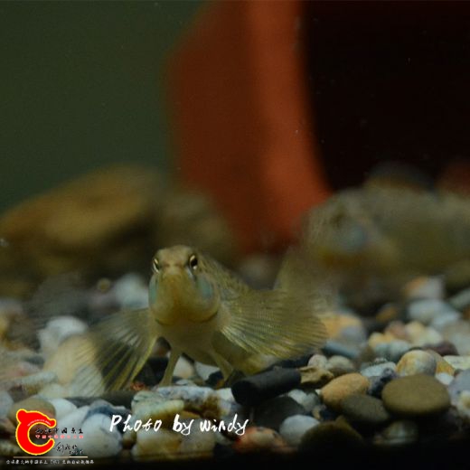 DSC_4756_副本.jpg