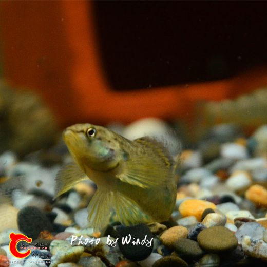 DSC_4757_副本.jpg