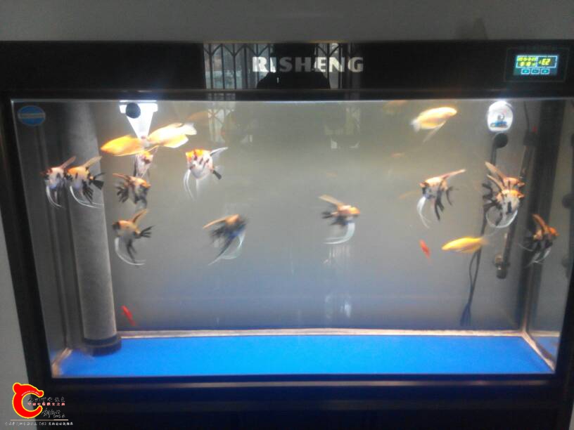 144041hwciriczr050155y.jpg