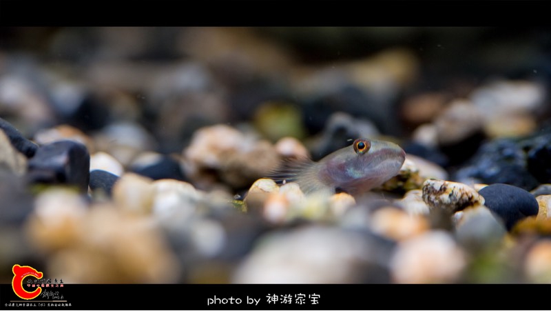 111513r8mm6lvocoo38m8l.jpg