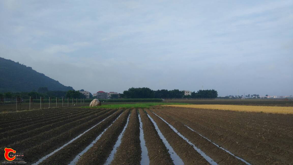 210811x11xue4uwoou83qw.jpg