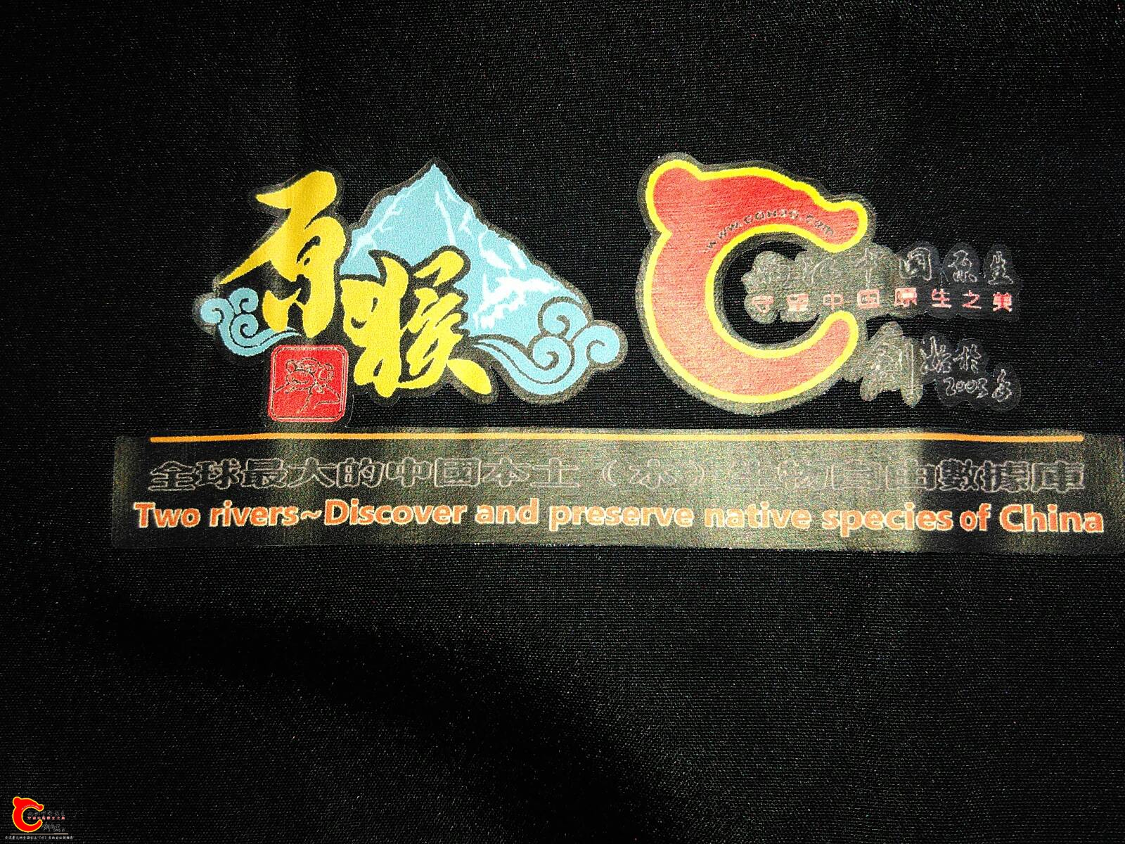 122012y0o1wro1q1t17enh.jpg