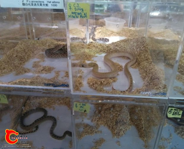 QQ图片20160923170800.jpg