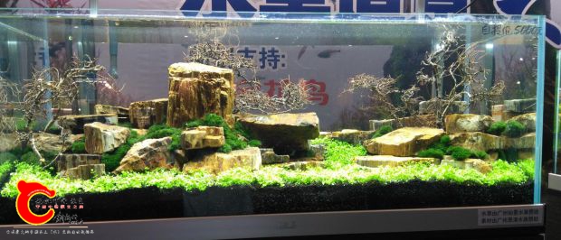 QQ图片20160923170925.jpg