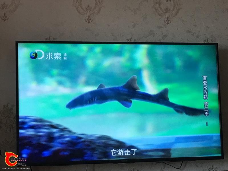 135228ip0bb0bv66ah9z00.jpg