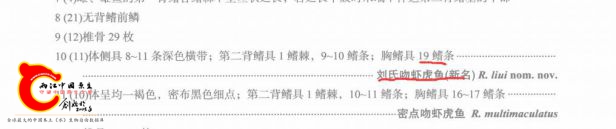 QQ图片20161009115153.jpg