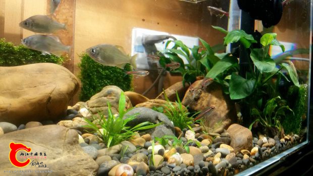 20161009_193840.jpg
