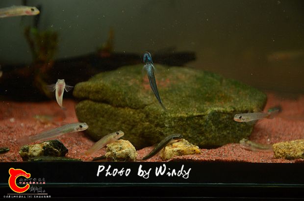 DSC_5606_副本.jpg
