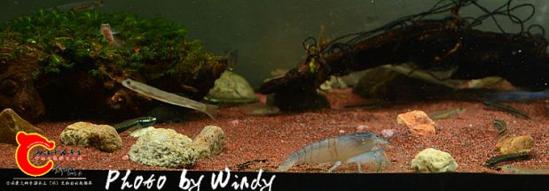DSC_5609_副本.jpg