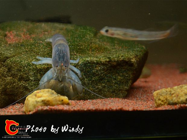DSC_5614_副本.jpg