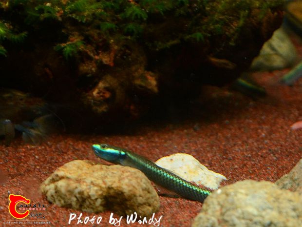 DSC_5623_副本.jpg