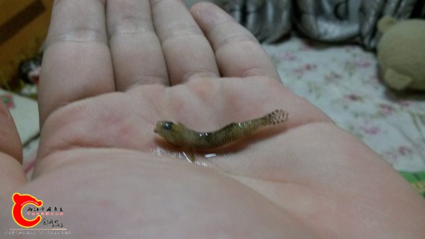 20161025_193011.jpg