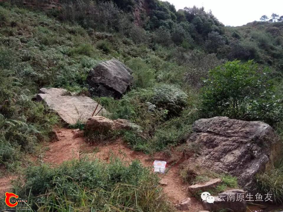 6ea03f2262d7194e3f7050596df8ae94.jpg