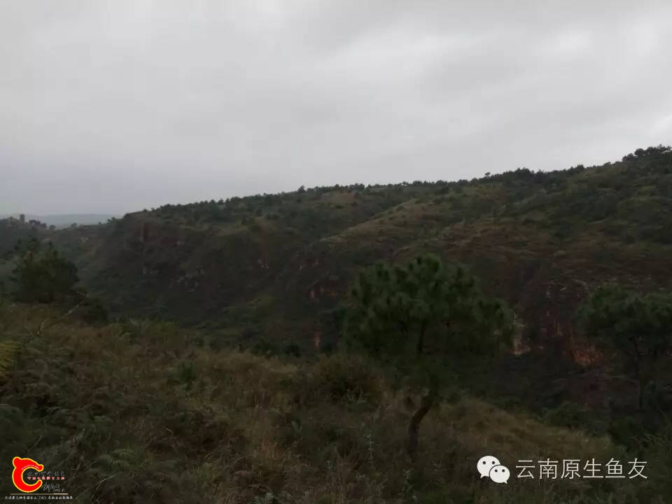 b600995876275f28c08fd3b7e50b8aff.jpg