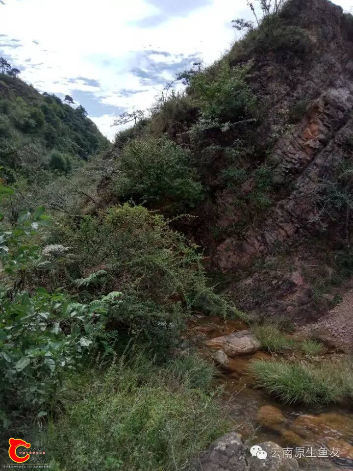 e6c81ec4c856d13d5fdd95e4ce96cd1b.jpg