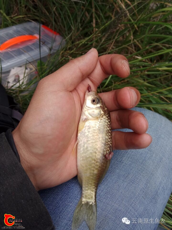 d14faf02f5e7038da2cf238ffc287773.jpg