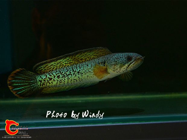 DSC_5710_副本.jpg
