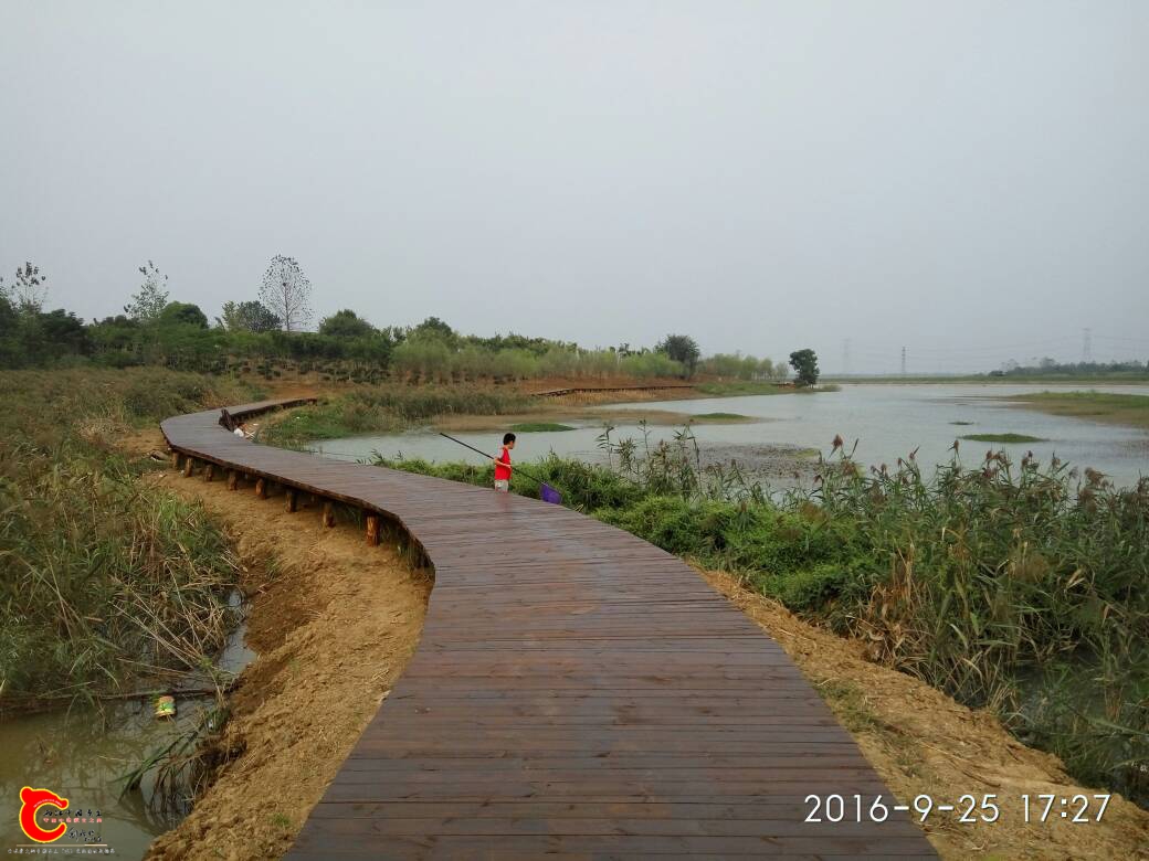 093348atkqnakc02ll20ii.jpg