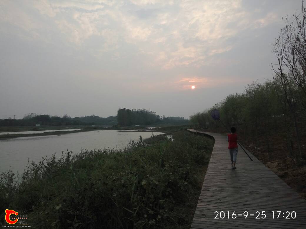 093348lzzarsahg8vhh6h6.jpg