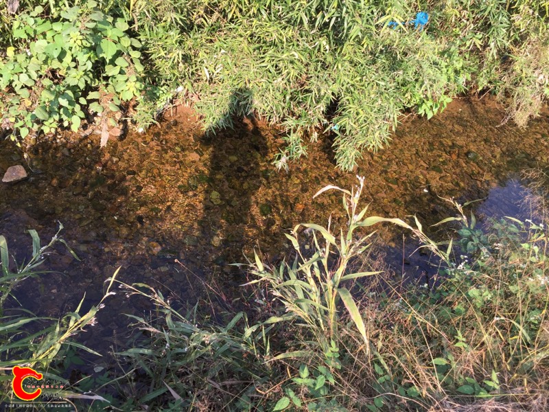 140516avbb2xa2abqbnnb1.jpg