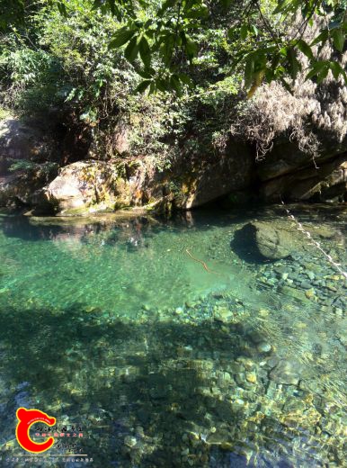 IMG_20161016_141358_缩小大小.jpg