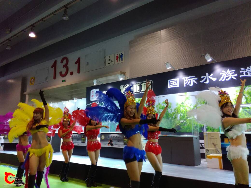 113320geeu3uecdawxxd9e.jpg