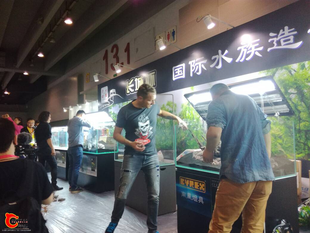 113526ury8ro88rm4yjfrd.jpg