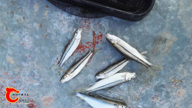 张家界江垭水库