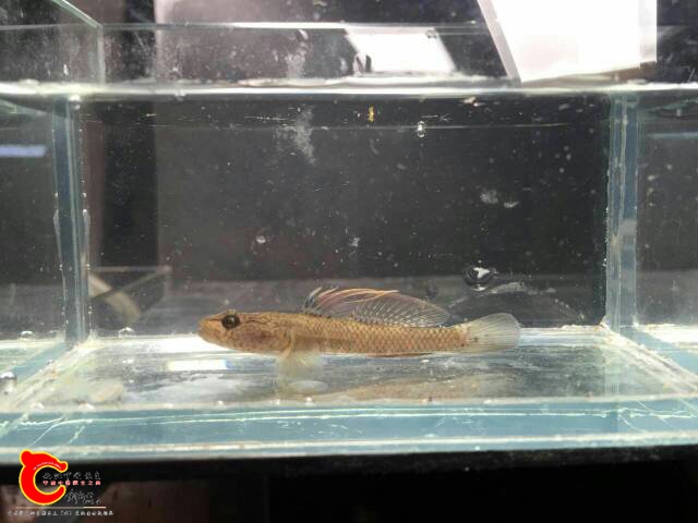 144003wa07cl8j9pcpa1ca.jpg