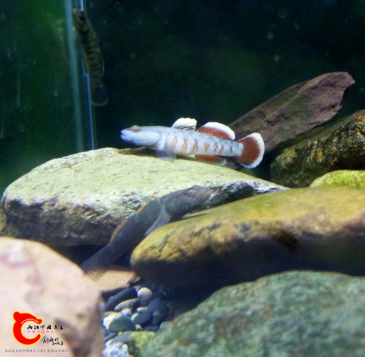 IMG_20161122_181549.JPG