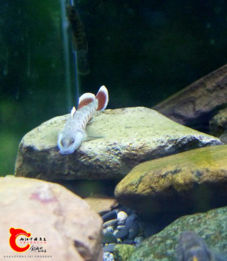 IMG_20161122_181619.JPG