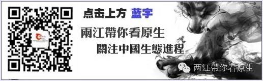 465c24c597dcd7319abe53cbf964b3d5.jpg