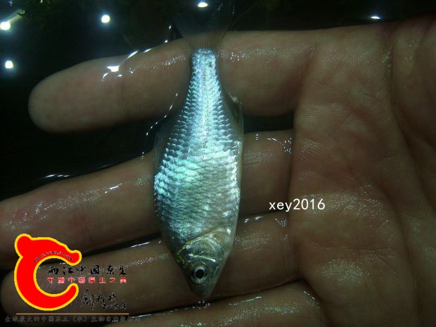 SL741924_副本.jpg