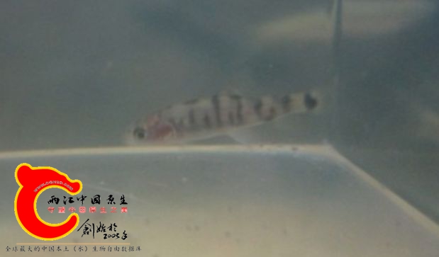 搜狗截图20161210233944.jpg