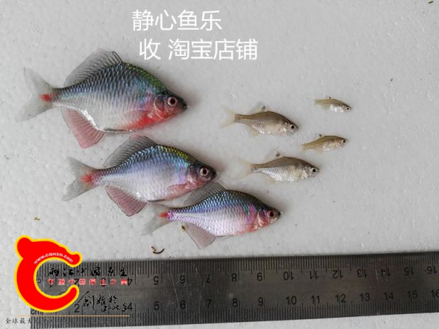 img_20160904_151346_副本.jpg