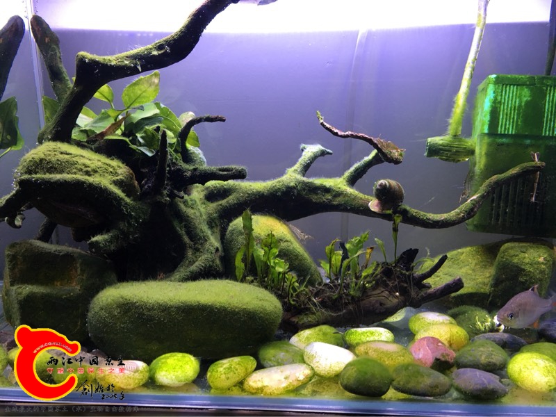 131555ycubx9zexb9o75d2.jpg