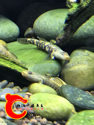QQ图片20161216225640.jpg