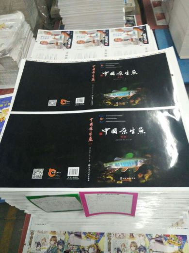 mmexport1482865140885.jpg